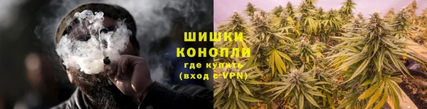 сатива Армянск