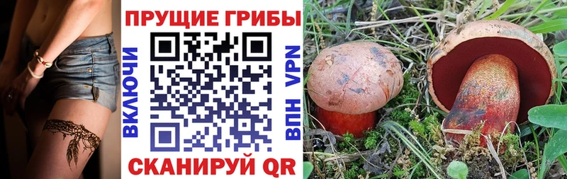 Галлюциногенные грибы мухоморы  Красноперекопск 